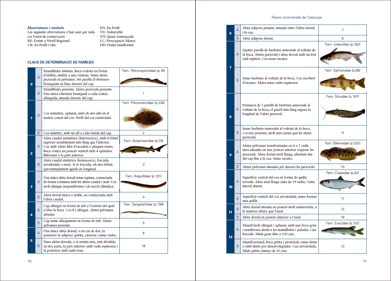 Sample page of Peixos continentals de Catalunya Peixos continentals de Catalunya sample page